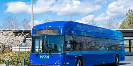 df7719_55bcd19f76c247d79a1c9ad737d5f273mv2